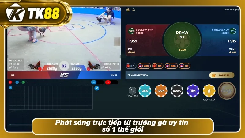 Đá gà TK88 có hệ thống livestream sắc nét