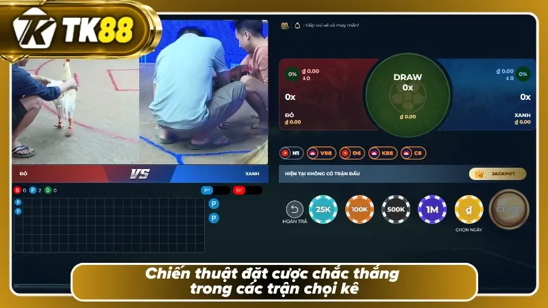 4 chiến thuật chinh phục chuyên mục đá gà TK88