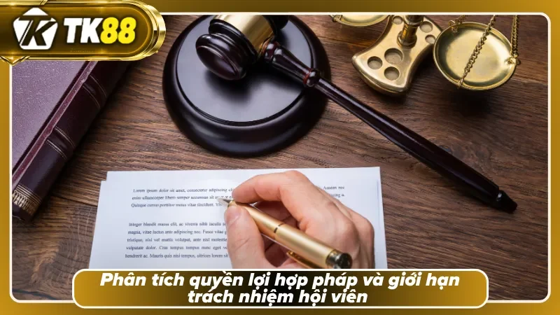 Khám phá quyền lợi của hội viên tại TK88